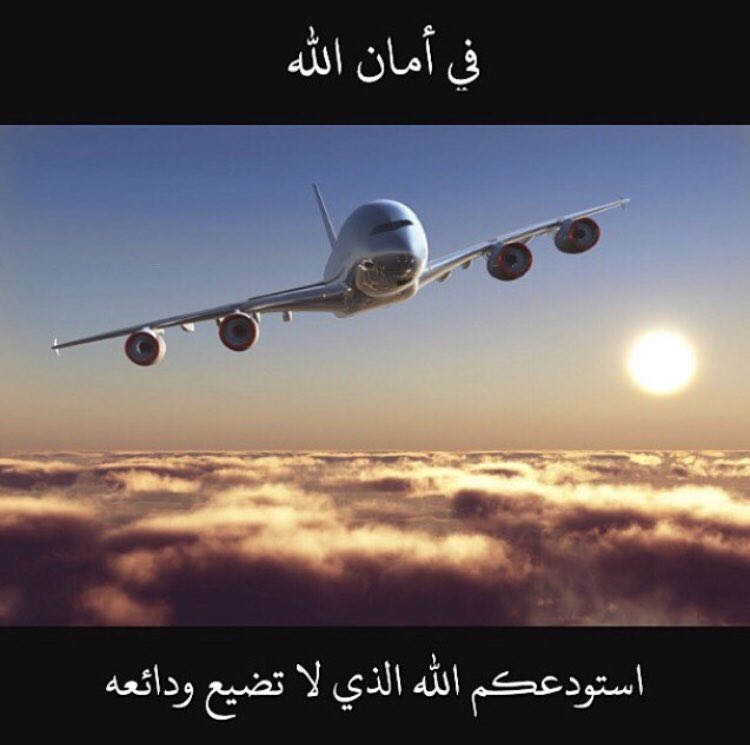 حالات عن سفر زوجي 2