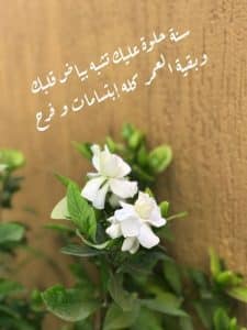 في مثل هذا اليوم ولدت القمر