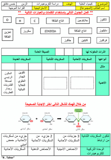 ورقة عمل الكربوهيدرات 1