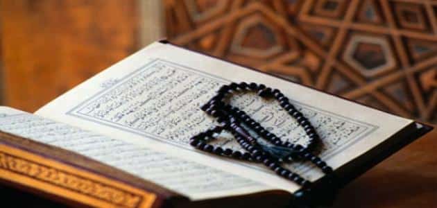 من هو اكثر نبي له معجزات