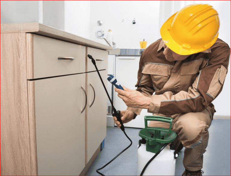 أفضل شركة مبيدات حشرية في البحرين