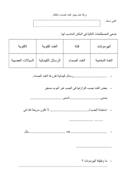 ورقــة عمل الغدد الصماء  2