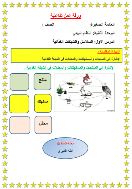 ورقة عمل السلسلة الغذائية 2