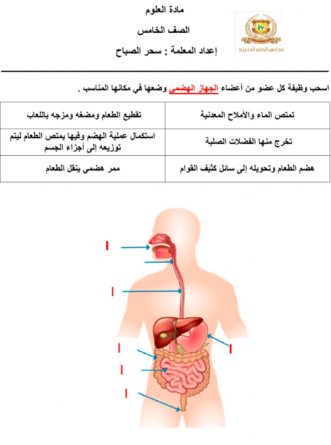 ورقة عمل عن أجهزة جسم الانسان للصف الرابع 1