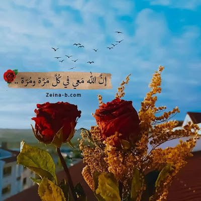 رمزيـات كتابية كيوت  2