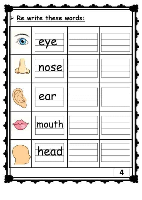ورقـة عمل الحروف الانجليزية 2