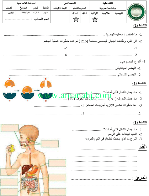 المجموعات الغذائية الصف الرابع 2