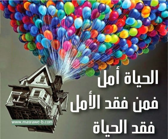 اجمل الصور المعبرة عن الامل  3