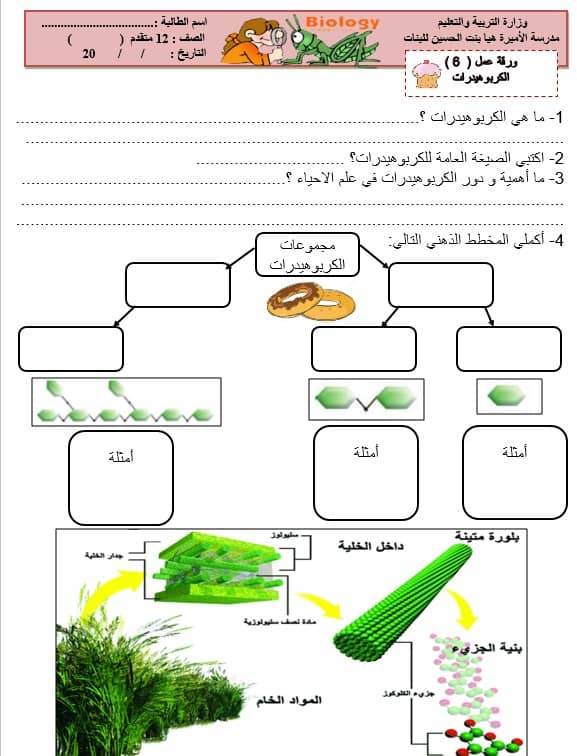 ورقــة عمل الكربوهيدرات 3