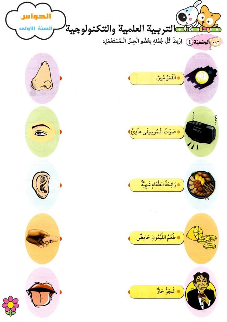 تمارين الحواس الخمس 4