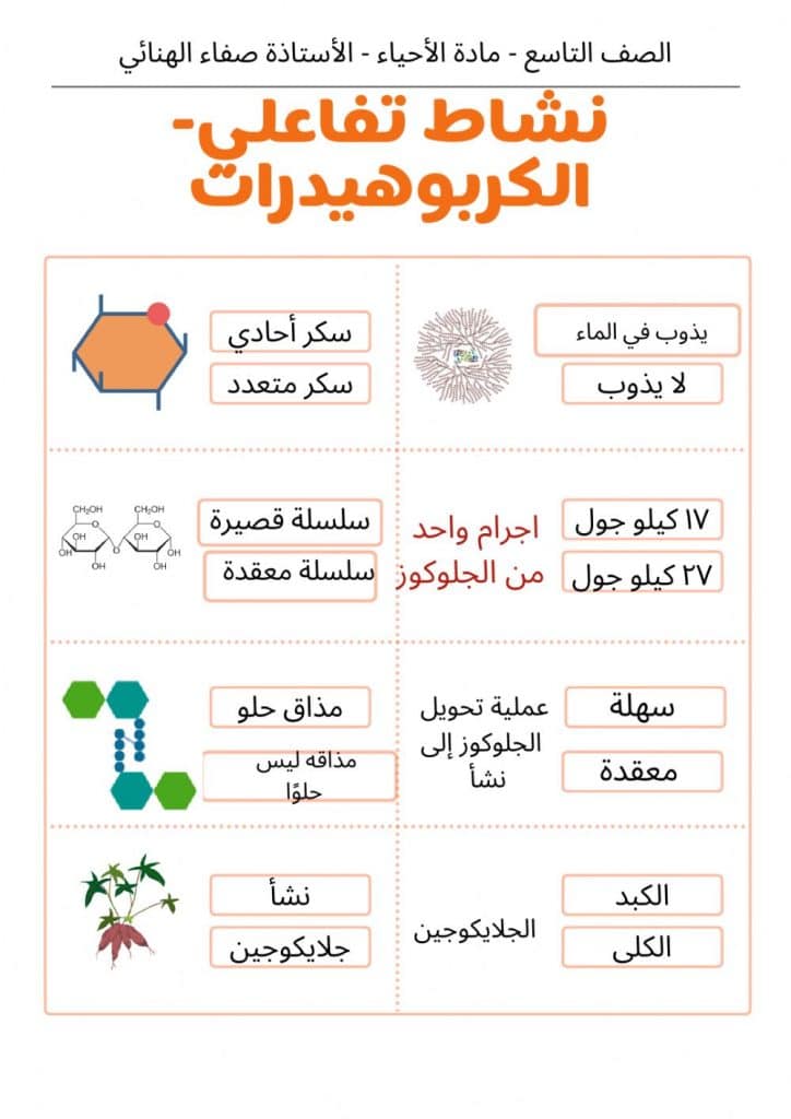 ورقــة عمل الكربوهيدرات 4