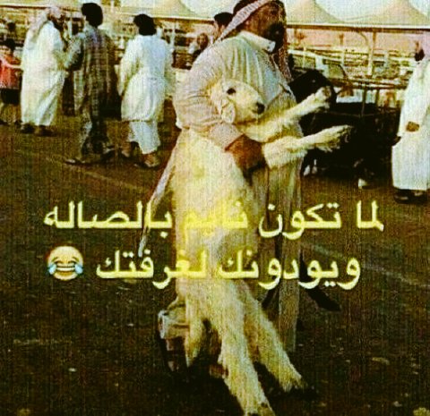رمزيـات مضحكه استهبال 5