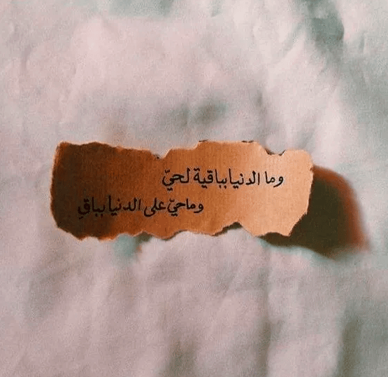 حكم وصور معبرة عن الحياة 5