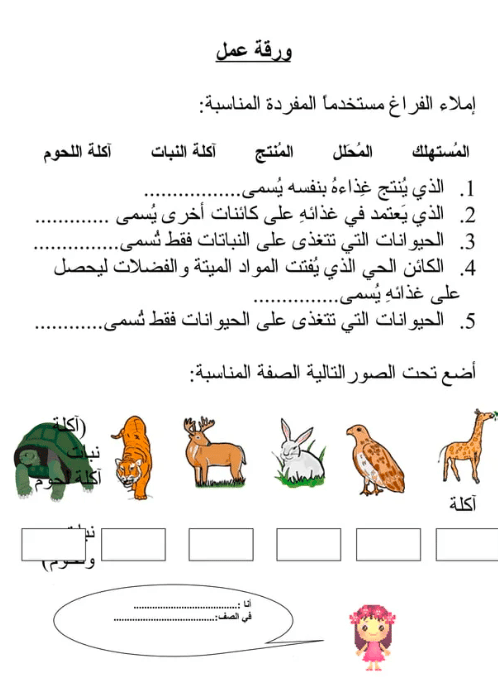 ورقة عمل السلسلة الغذائية 3