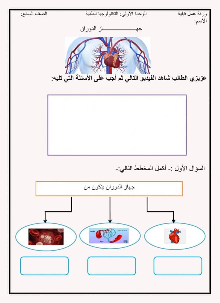 ورقة عمل جهاز الدوران 1