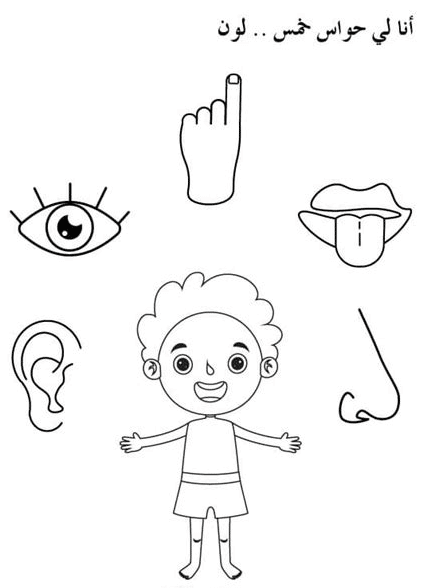 ورقـة عمل الحواس الخمس تلوين 2