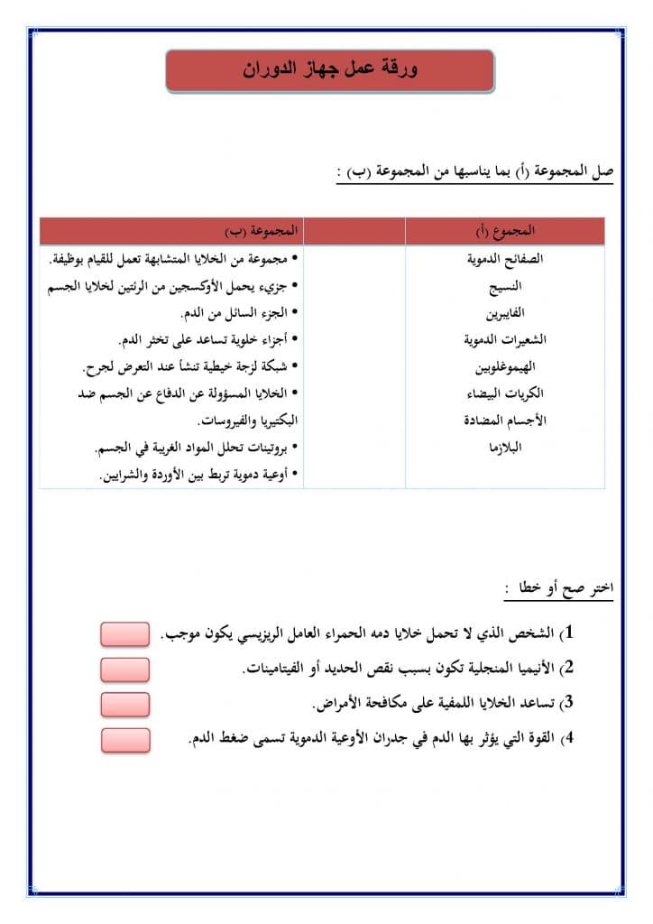 ورقة عمل جهاز الدوران 3