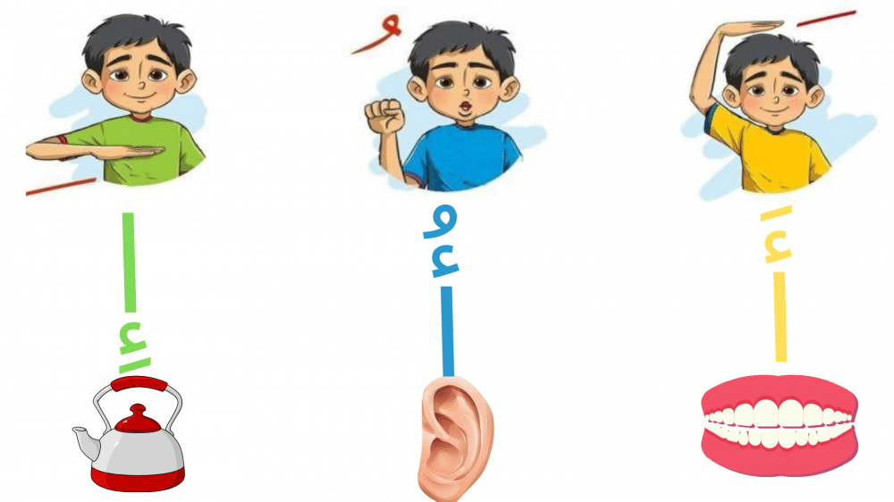 ورقة عمل الحركات الثلاث 1