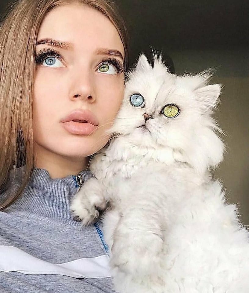 رمزيــات قطط وبنات 2
