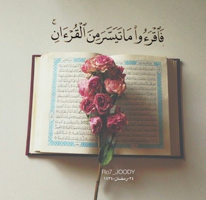 رمزيـات عن القرآن الكريم 3