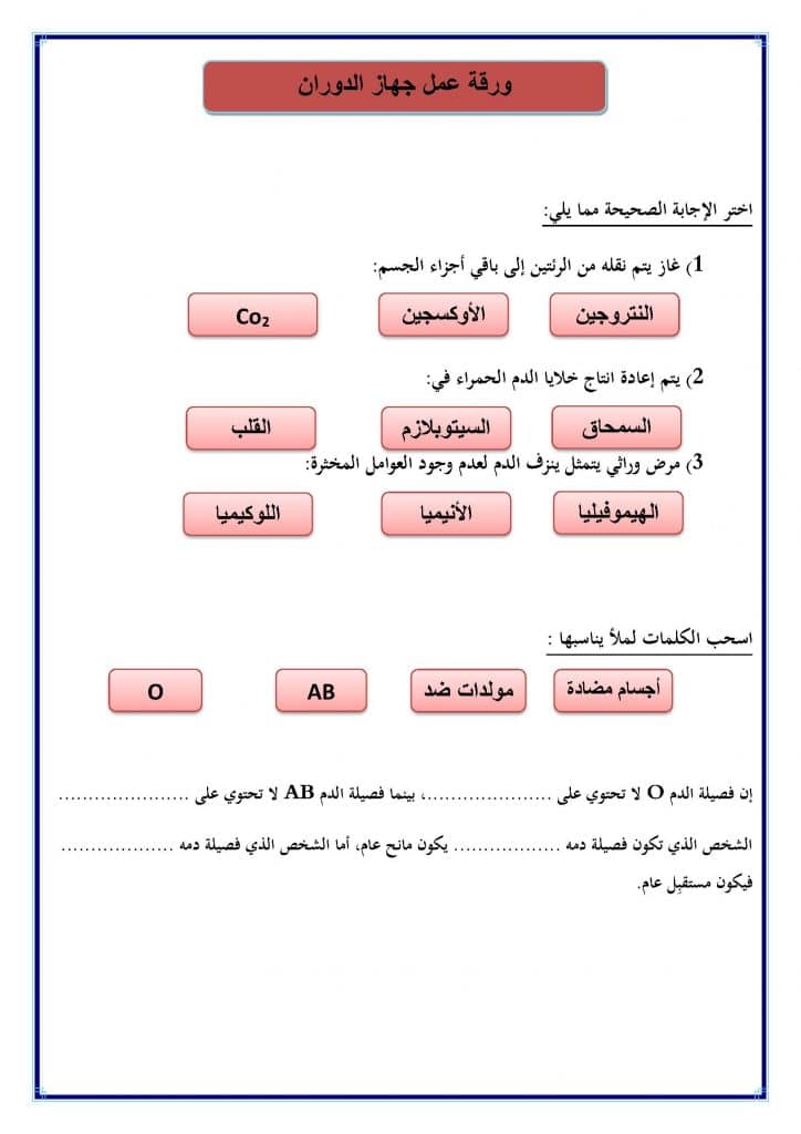 ورقة عمل جهاز الدوران 4