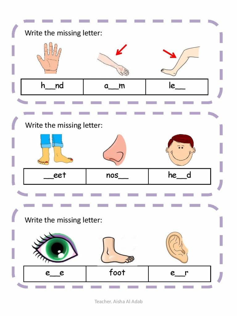 اوراق عمل انجليزي للاطفال 4