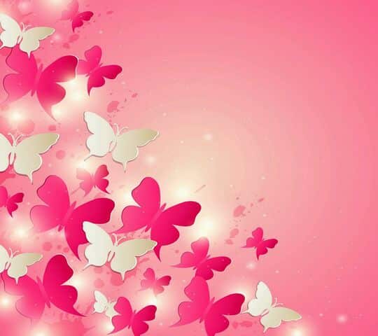 خلفيات فراشات وردية 4