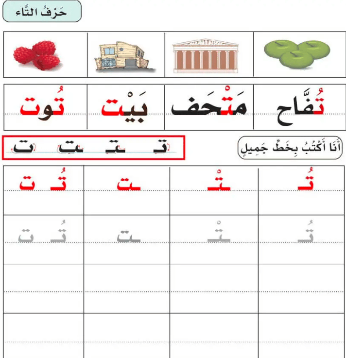 ورقـة عمل حرف التاء 3