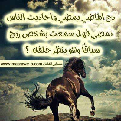 اجمل الصور معبرة 4