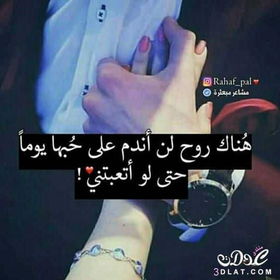 صورحب وشوق 3