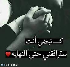 صورحب وشوق 4