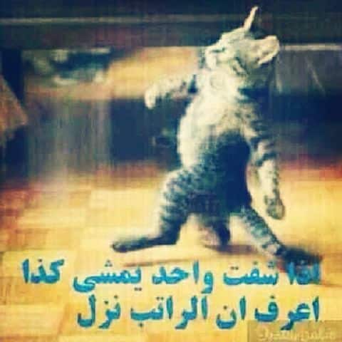 رمزيـات مضحكة للواتس 5