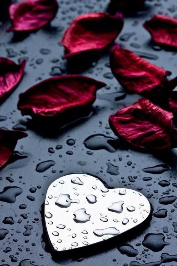 صورحب خلفيات 4