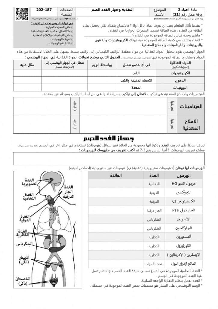 ورقــة عمل الغدد الصماء  4