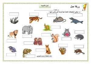 ورقة عمل الثدييات والطيور