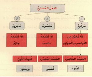 ورقة عمل الفعل المضارع