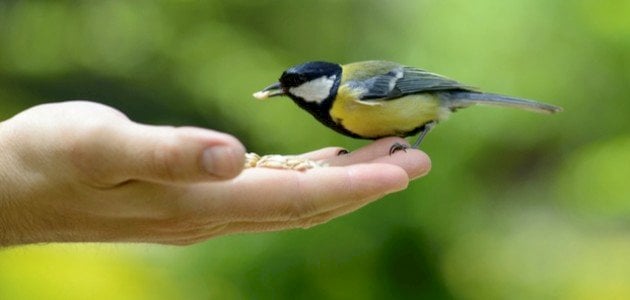 خطبة محفلية عن الرفق