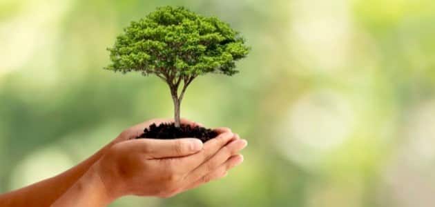 خطبة عن الزراعة ملتقى الخطباء