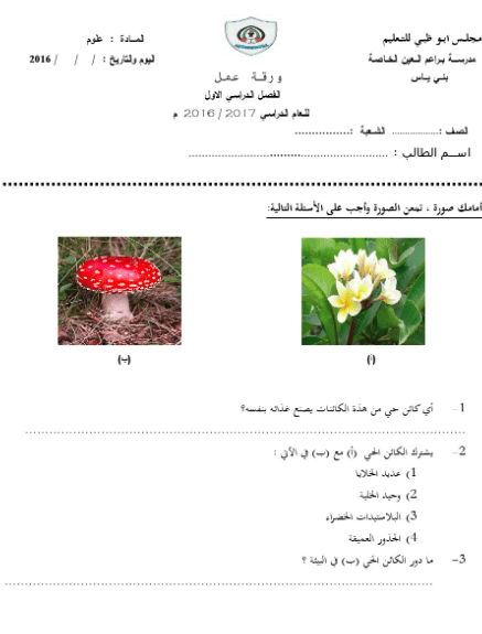 ورقة عمل الخلية النباتية والحيوانية 5