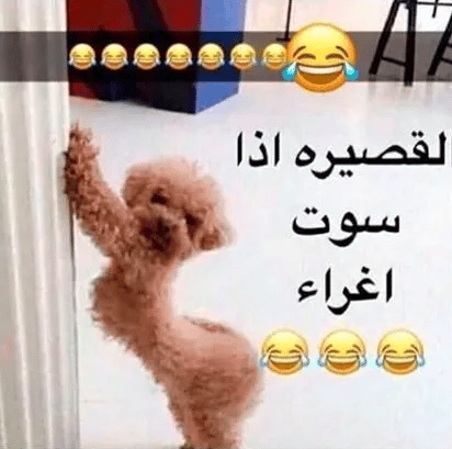 رمزيات مضحكة 1