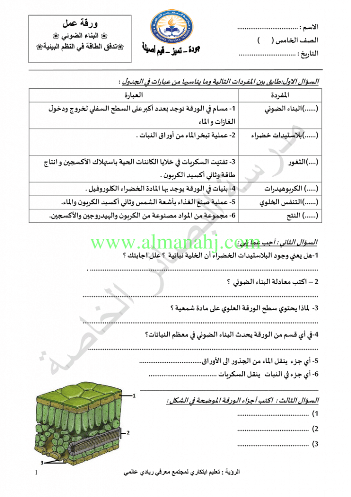 ورقة عمل البناء الضوئي