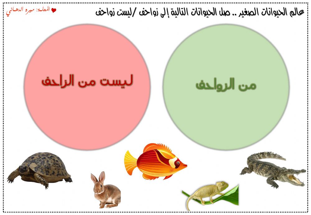 ورقة عمل الزواحف