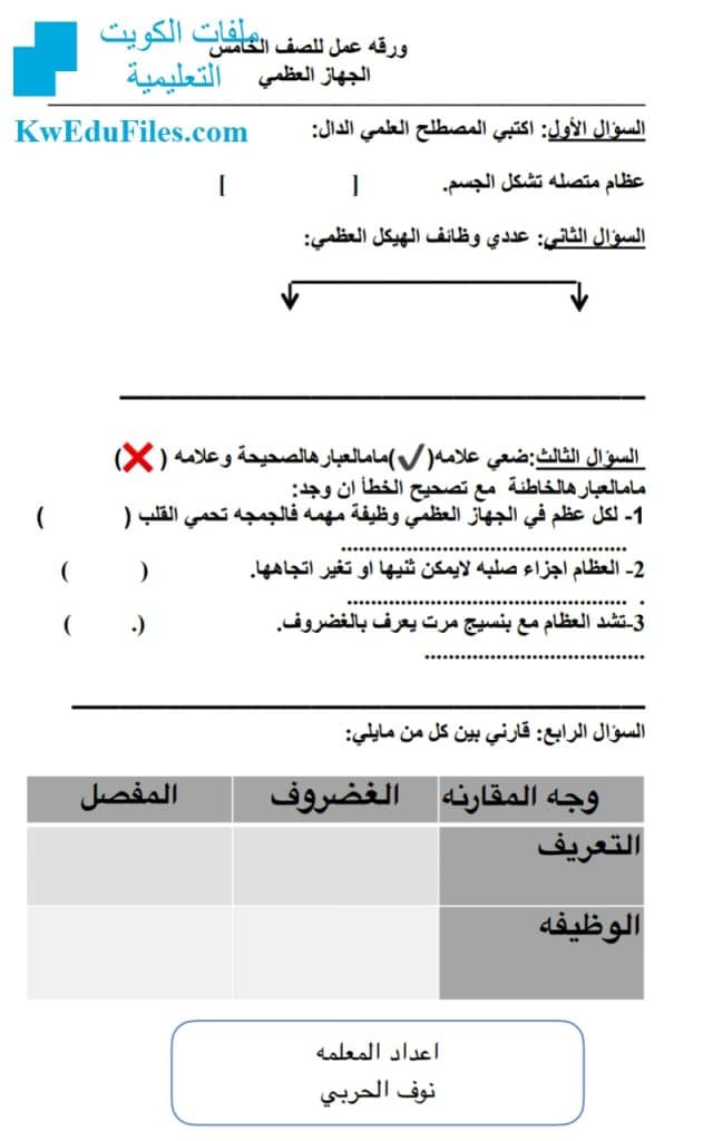 ورقة عمل الجهاز الهيكلي