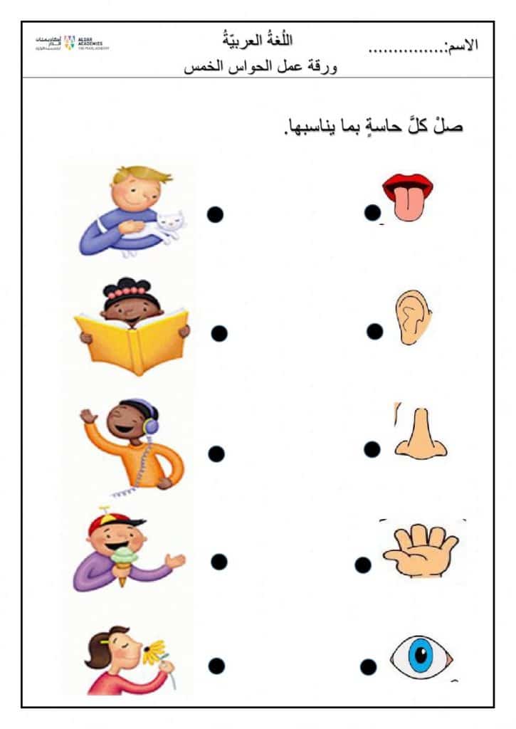 ورقة عمل الحواس الخمس 1