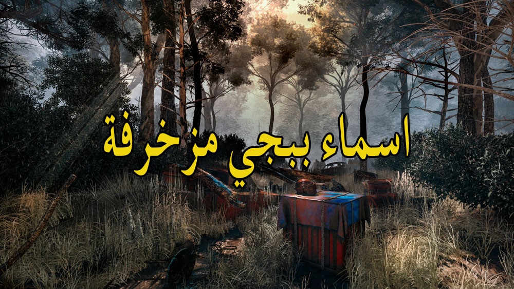 اسماء ببجي مزخرفة