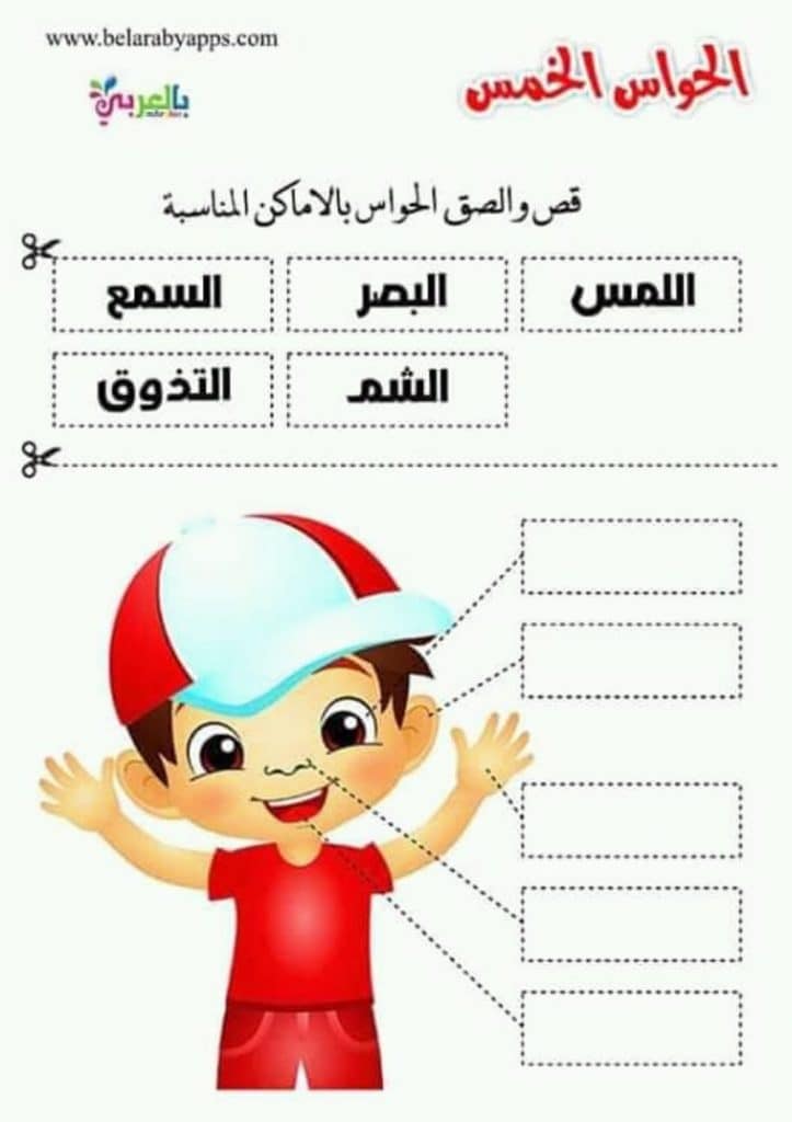 ورقة عمل الحواس الخمس 4