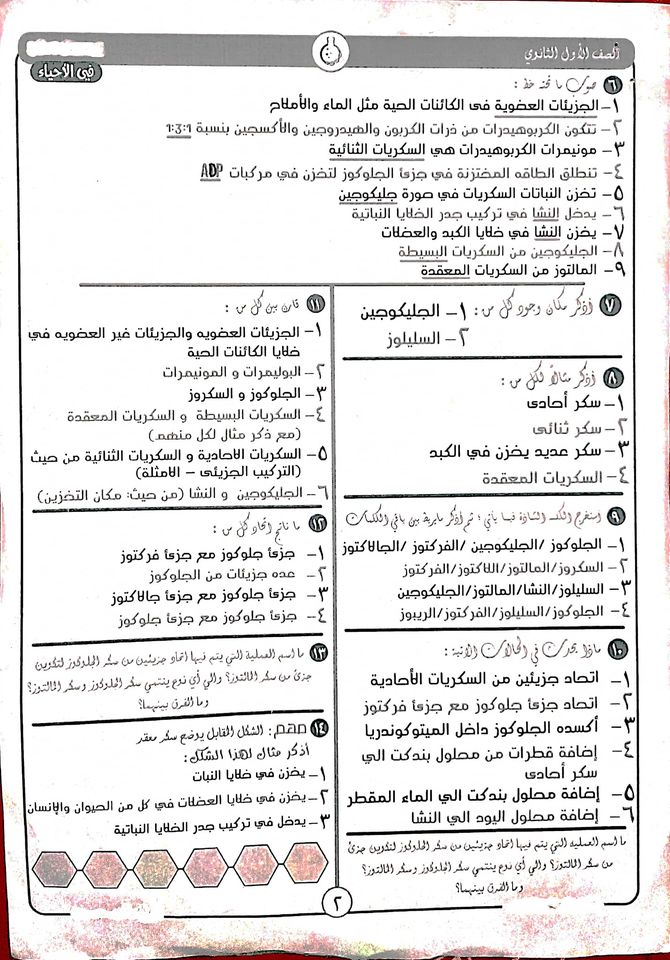 أسئلة على درس الكربوهيدرات اولى ثانوى 2