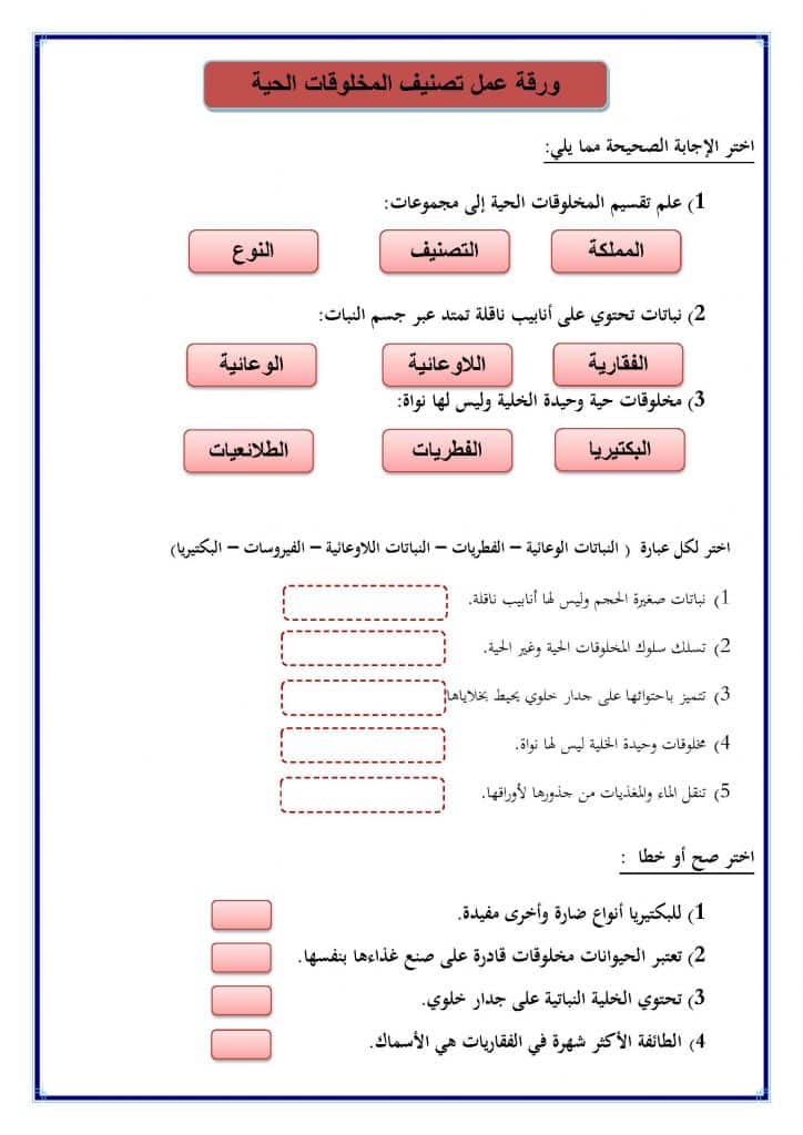 ورقــة عمل تفاعلية 3
