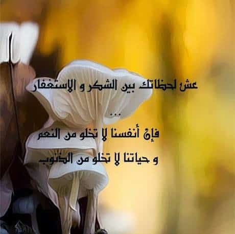 رمزيات معبرة 1