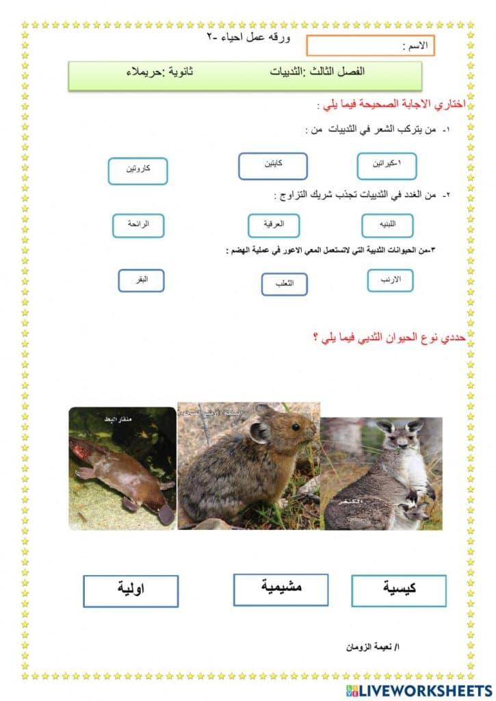 ورقة عمل الثدييات 3